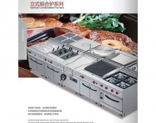 立式組合爐係列